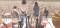 Crosby, Stills, Nash & Young - la nostra recensione del concerto di Woodstock