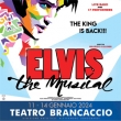 Ivan De Carlo (Elvis. The Musical)